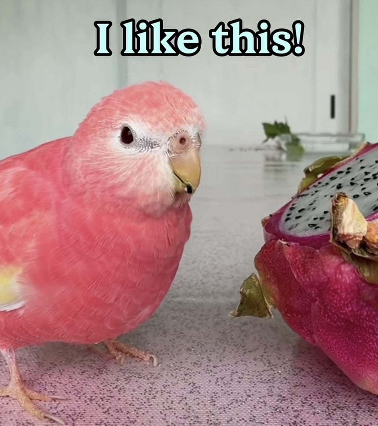 Reply image